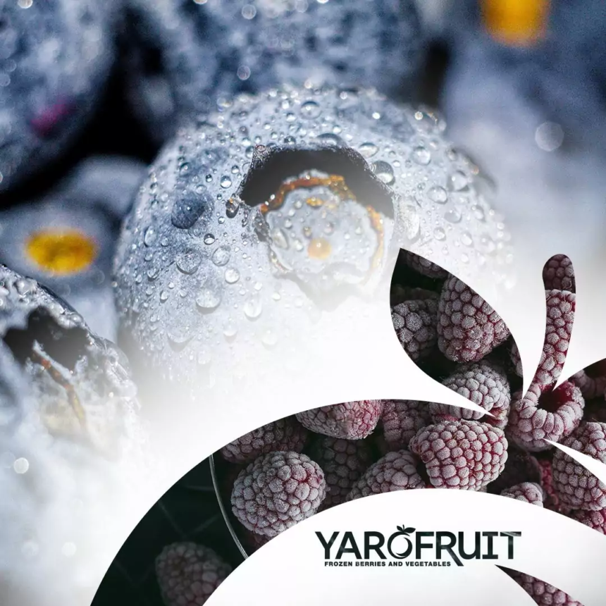 YaroFruit L.L.C – Ihr zuverlässiger Partner für tiefgefrorene Beeren, Früchte und Gemüse