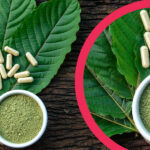 Kratom: Der Trend aus Asien, der den Westen erobert