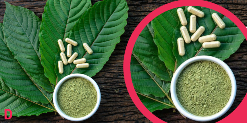 Kratom: Der Trend aus Asien, der den Westen erobert
