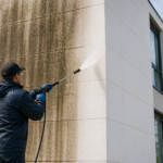 Professionell Fassadenreinigung